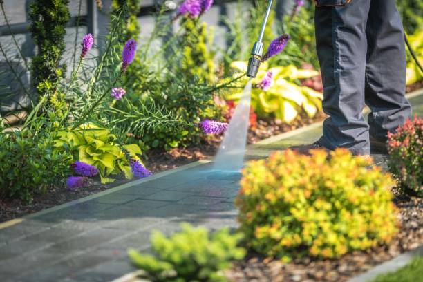 Best Winterizing Services  in Pquemine, LA
