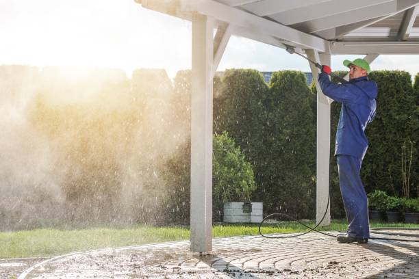 Best Fleet Vehicle Washing  in Pquemine, LA